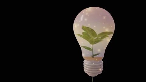 3D environment Stock Footage 221296442