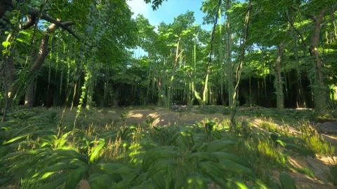 3d Environment Tropical Forest Background - High Quality Stock Footage Stock Footage 310736154