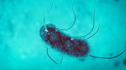 3d Escherichia Coli (E. Coli.) cells or bacteria under microscope. 3d illustr Illustrazione stock
