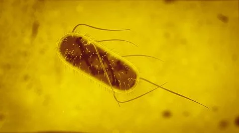 3d Escherichia Coli (E. Coli.) cells or bacteria under microscope. 3d illustr Illustrazione stock