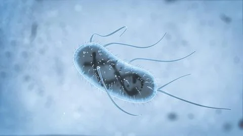 3d Escherichia Coli (E. Coli.) cells or bacteria under microscope. 3d illustr Illustrazione stock