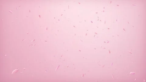 3D Falling Sakura Petals Soft Pink Background, Flying Flower Petals Motion Loop Stock Footage 340621039