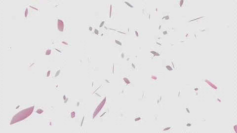 3D Falling Sakura Pink Background, Flying Flower Petals Loop Alpha Channel Stock Footage 340970809