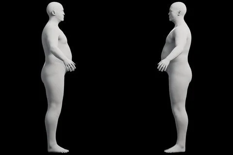 3D Fat Man standing 2-View Matte Black Black Stockillustratie