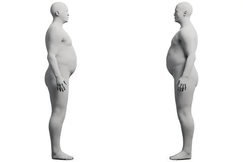 3D Fat Man standing 2-View Matte Black White Stockillustratie