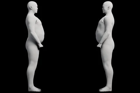3D Fat Man standing 2-View Matte Black Black Stockillustratie
