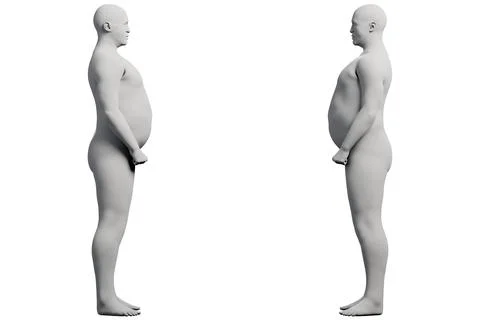 3D Fat Man standing 2-View Matte Black White Stock Illustration