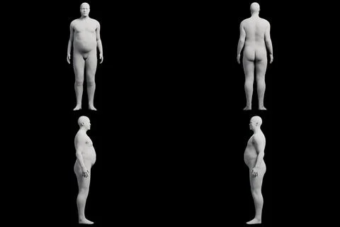 3D Fat Man standing 4-View Matte Black Black Stock Illustration