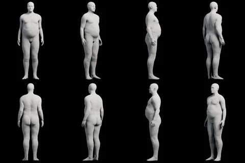 3D Fat Man standing 8-View Matte Black Black Stock Illustration