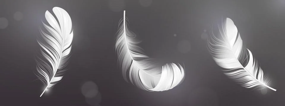 3D feather collection falling 스톡 일러스트