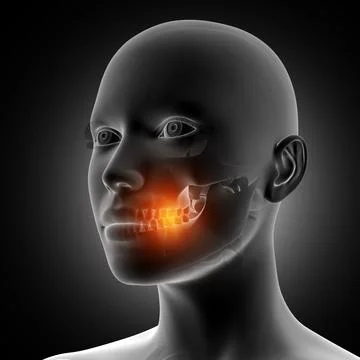 3D female figure with teeth highlighted Stock Illustration