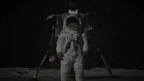 3D The first human on the moon Stock Footage 289809816