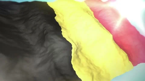 3d flag Belgium loop 1080p Stock Footage 8863371