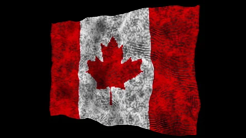 3d flag of the Canada consisting of round particles in motion Stock Footage 282632286