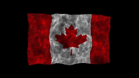 3d flag of the Canada consisting of round particles in motion Stock Footage 282632290