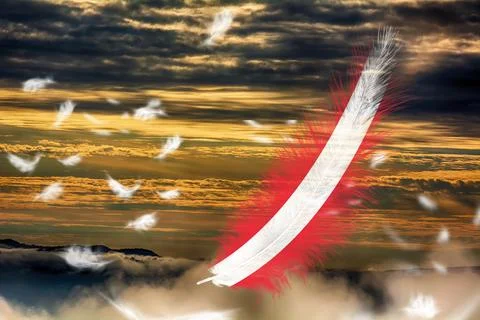 3D Flag on feathers Stock Illustration