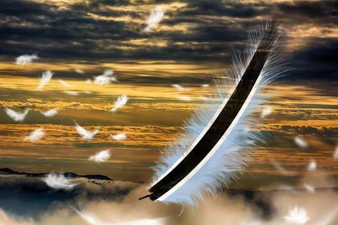 3D Flag on feathers Illustrazione stock