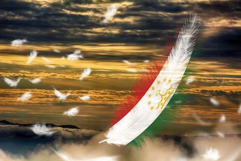 3D Flag on feathers Stock Illustration