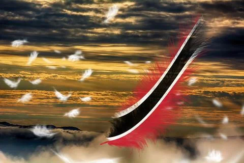 3D Flag on feathers Stock Illustration