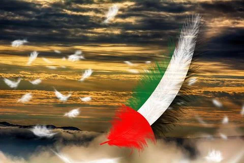 3D Flag on feathers Stock-Illustration