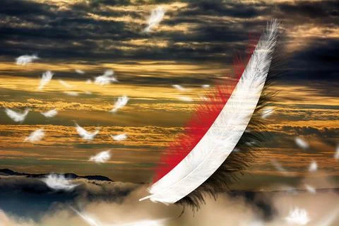 3D Flag on feathers Stock-Illustration