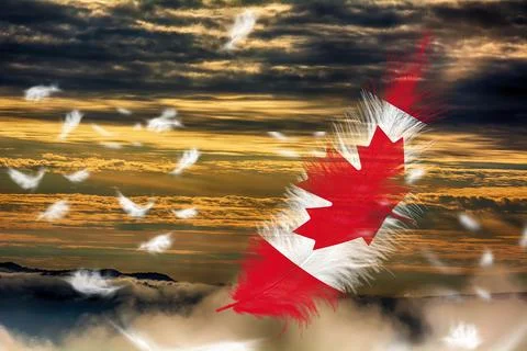 3D Flag on feathers Stock Photos