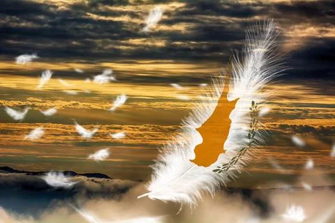 3D Flag on feathers Stock Photos