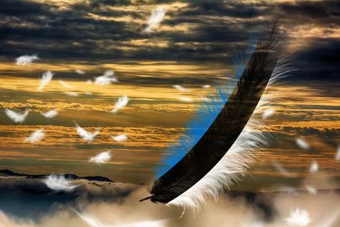 3D Flag on feathers Stock Photos