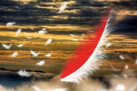 3D Flag on feathers Stock Photos