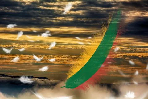 3D Flag on feathers Stock Photos
