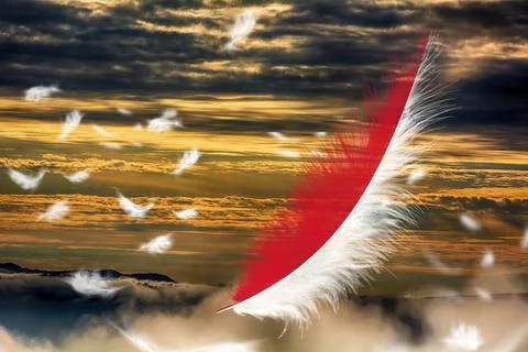 3D Flag on feathers Stock Photos