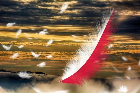 3D Flag on feathers Foto stock