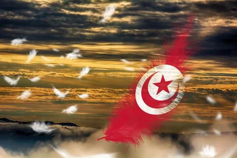 3D Flag on feathers Stock Photos