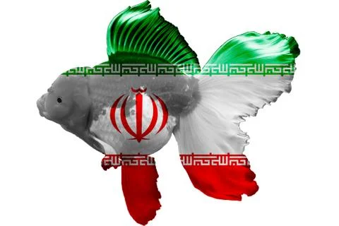 3D Flag of Iran on goldfish Stock Photos
