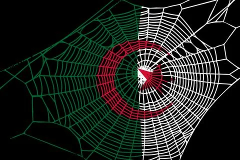 3D Flag on spider web Stock Illustration