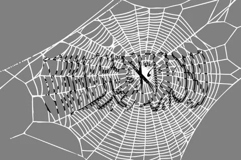 3D Flag on spider web 스톡 일러스트