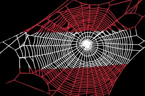 3D Flag on spider web 스톡 일러스트
