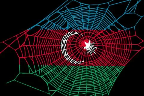 3D Flag on spider web 스톡 일러스트