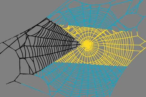 3D Flag on spider web 스톡 일러스트