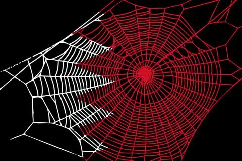 3D Flag on spider web 스톡 일러스트