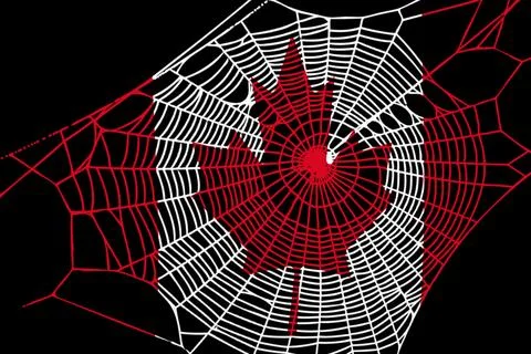 3D Flag on spider web 스톡 일러스트