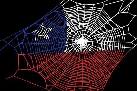 3D Flag on spider web 스톡 일러스트