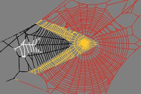 3D Flag on spider web Stock Illustration