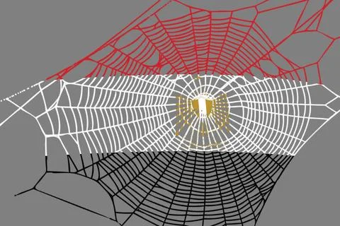 3D Flag on spider web Stock-Illustration