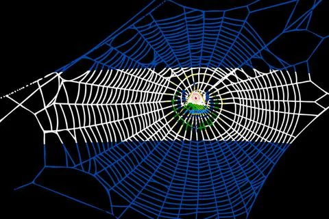 3D Flag on spider web Illustrazione stock