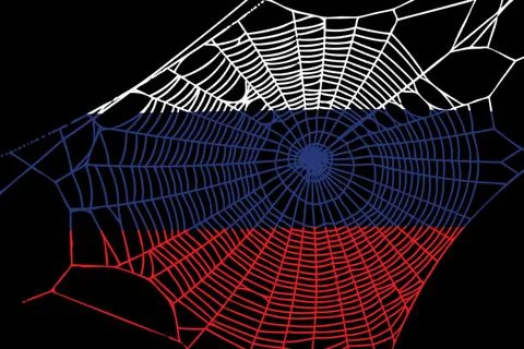 3D Flag on spider web Stock Illustration