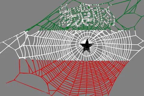 3D Flag on spider web Stock Illustration