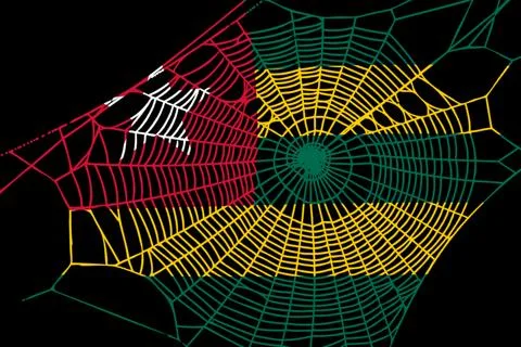 3D Flag on spider web Stock Illustration