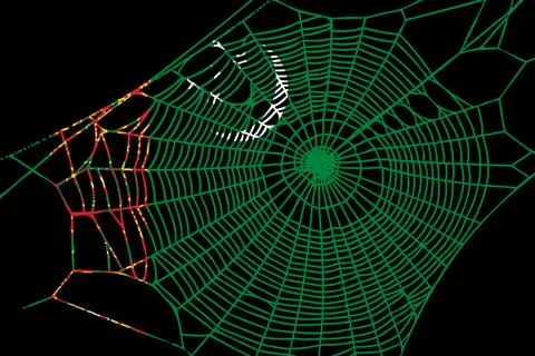 3D Flag on spider web Stock Illustration