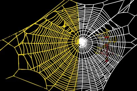 3D Flag on spider web Stock Illustration